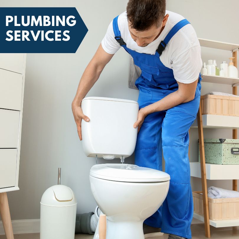 Plumbing Company in Ina, IL